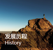 發展歷程
