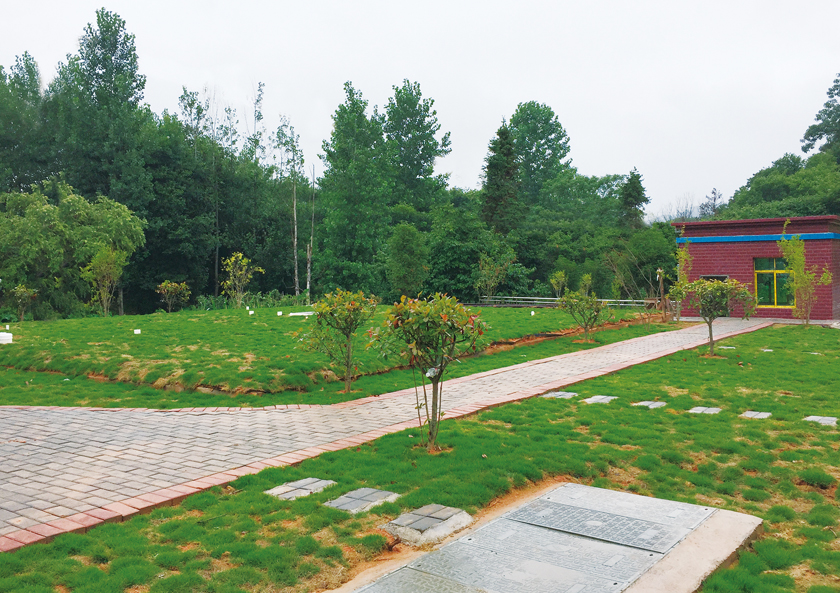 全南縣龍下鄉生活污水處理站(200噸)