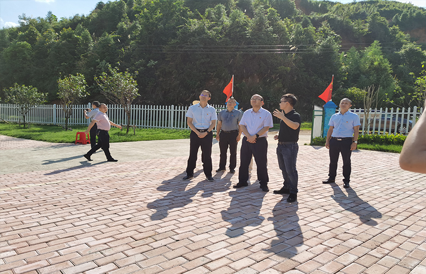 1623395060460224.jpg 22.jpg