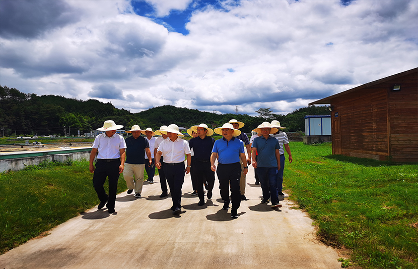 1623655012498394.jpg 4.jpg