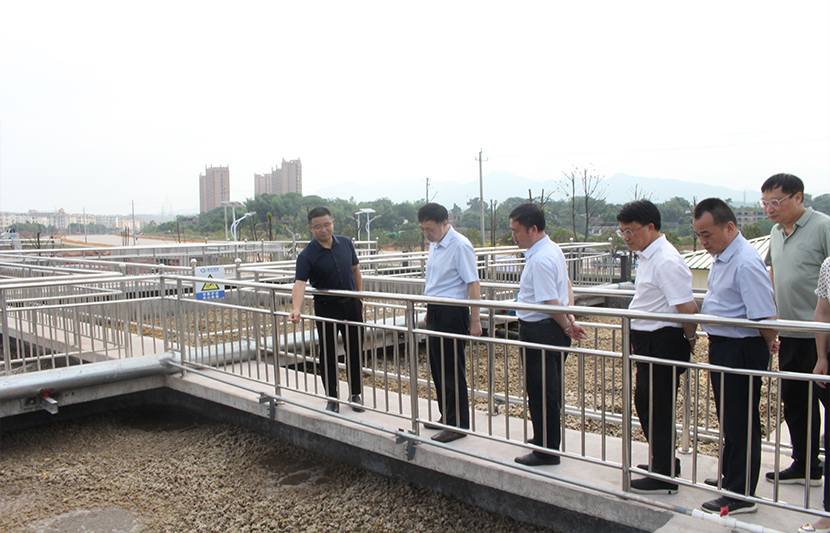 1624453906250531.jpg 3.jpg