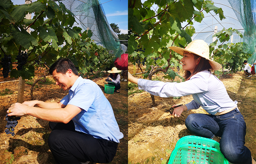 1624772171242441.jpg 24.jpg