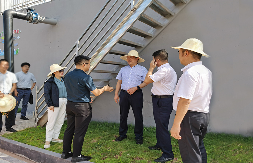 1626956451273251.jpg 3.jpg