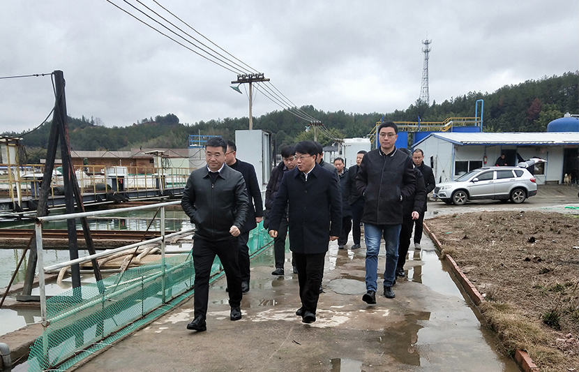 1645601668963653.jpg 3.jpg